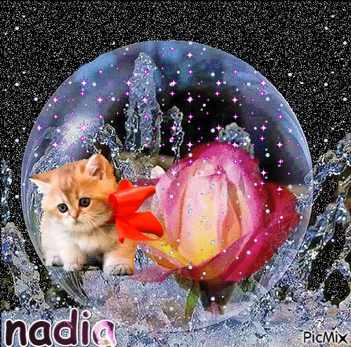 nadia - 免费动画 GIF
