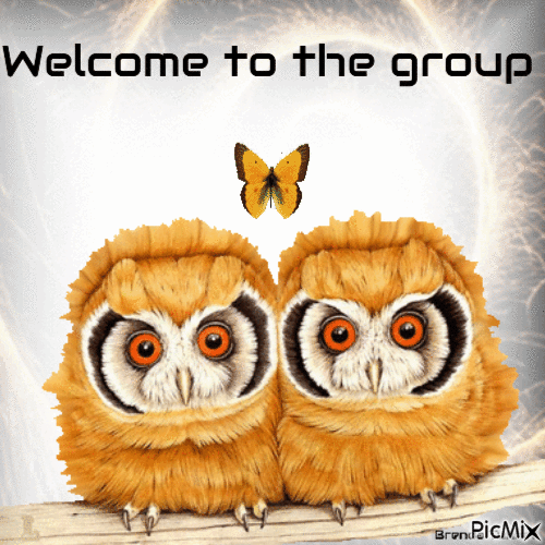 welcome owl - Nemokamas animacinis gif