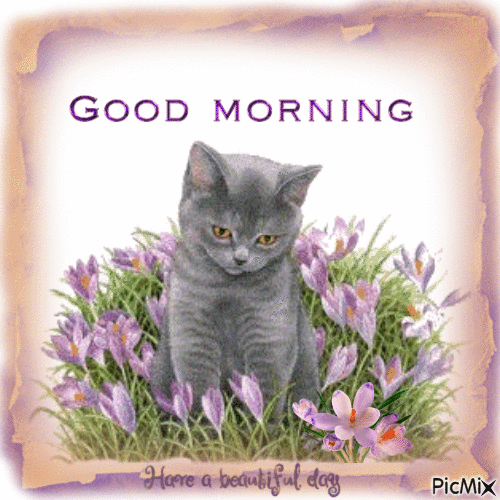 Good Morning, kitten - Δωρεάν κινούμενο GIF