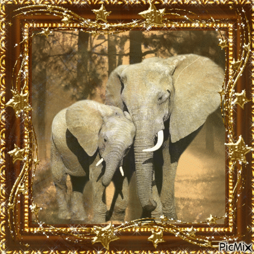 Elefanten - Gratis geanimeerde GIF