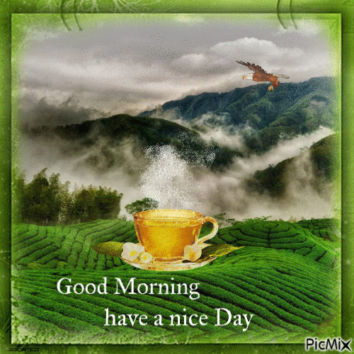 Good Morning have a nice Day - 免费动画 GIF