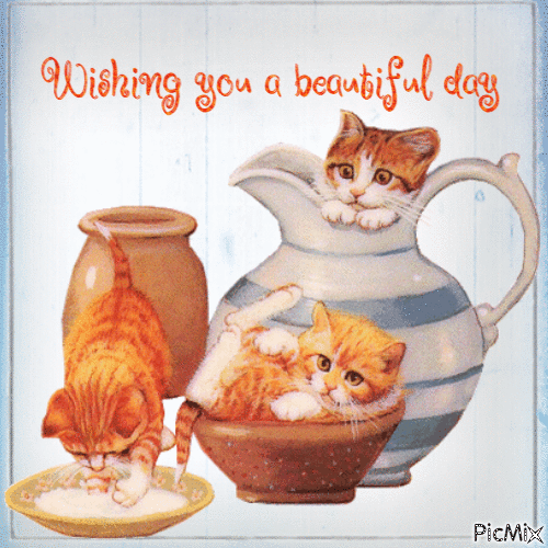 Wishing you a beautiful day, cats - Δωρεάν κινούμενο GIF