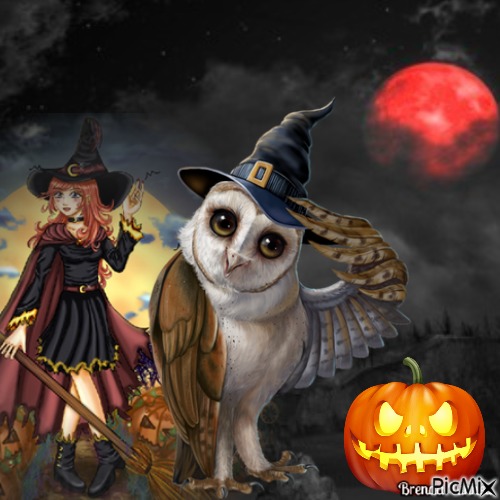 halloween owl - darmowe png