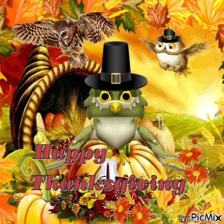 thanksgiving owl - kostenlos png