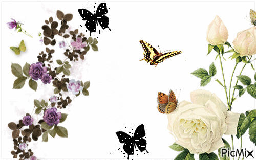 Butterfly Mix - Bezmaksas animēts GIF