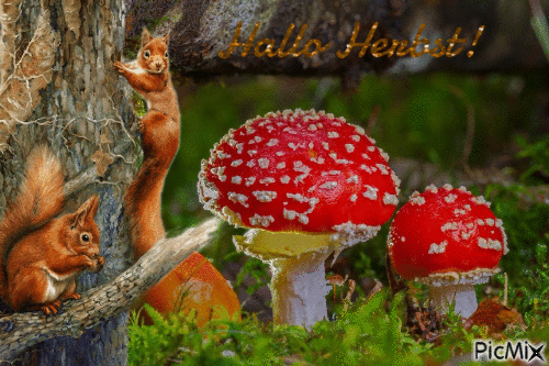 Hallo Herbst! - Free animated GIF