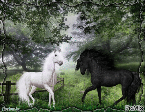 two horses - 免费动画 GIF