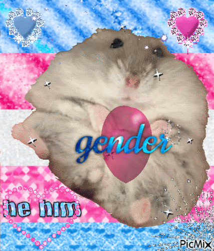 gender - Free animated GIF