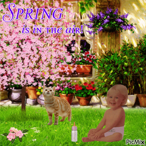 Spring is in the air - GIF animé gratuit