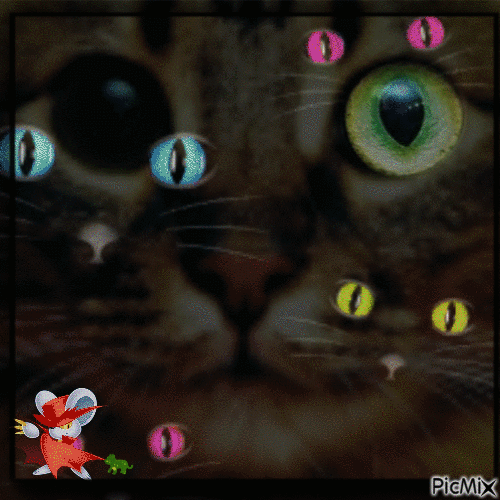 My cute strange cat - GIF animé gratuit