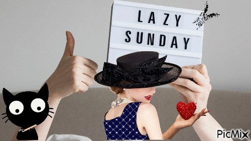 Lazy sunday - GIF เคลื่อนไหวฟรี
