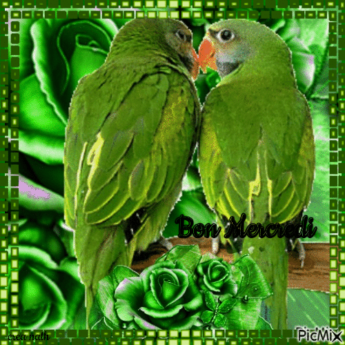 Mercredi, vert et perroquets / concours - Gratis geanimeerde GIF