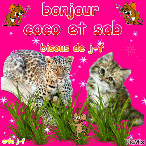 bonjour coco et sab - Animovaný GIF zadarmo