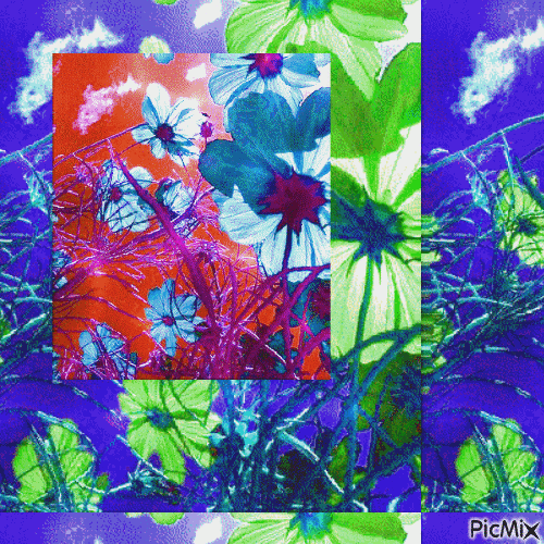 3 flower - Gratis animerad GIF