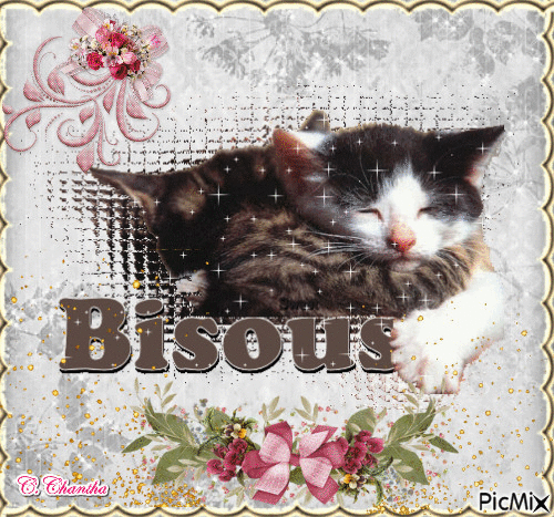BISOUS CHATS - 免费动画 GIF
