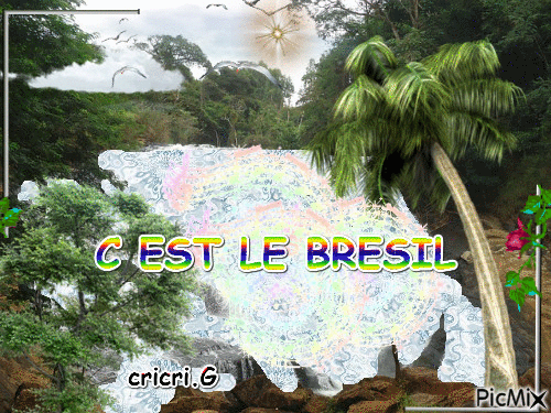 AU BRESIL - Безплатен анимиран GIF