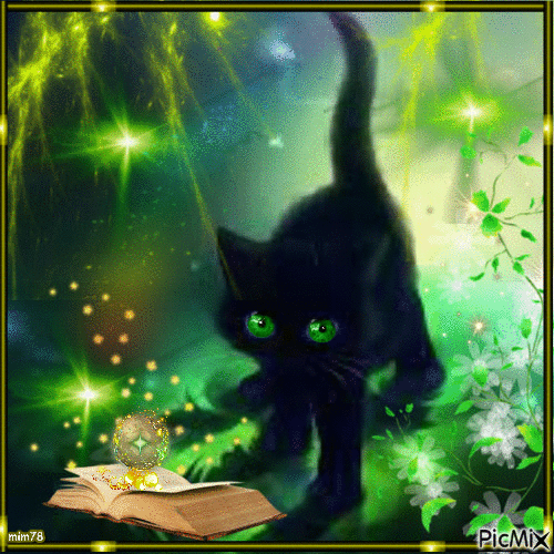black cat - Ingyenes animált GIF