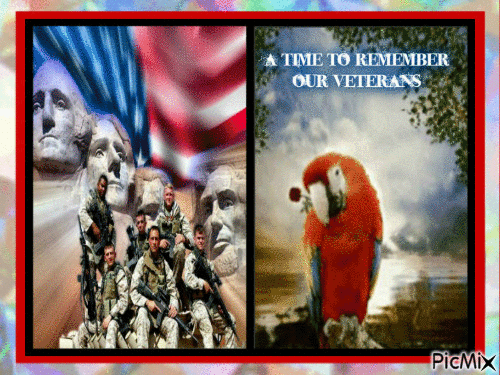 RED VETERAN'S DAY - Free animated GIF