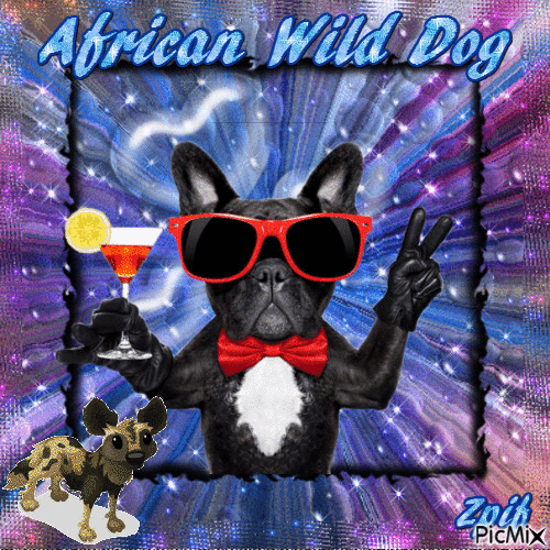 african wild dog - Free animated GIF - PicMix