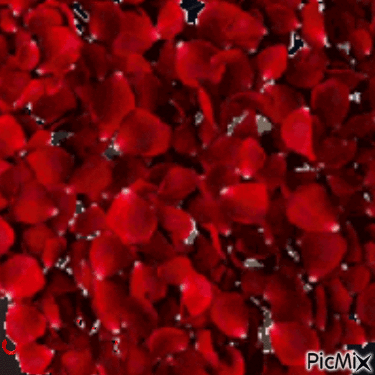 сердце из лепестков - GIF animado grátis