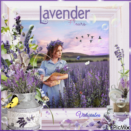 Lavender - Gratis animerad GIF
