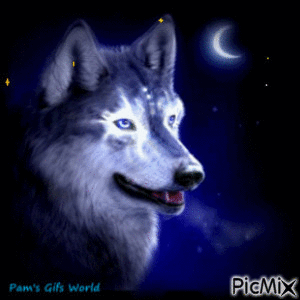 Blue Moon - GIF animé gratuit