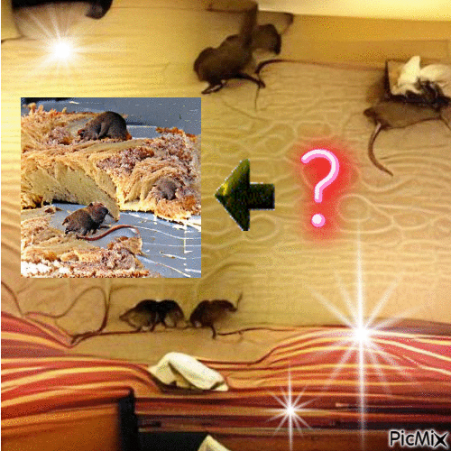rat infested - Bezmaksas animēts GIF
