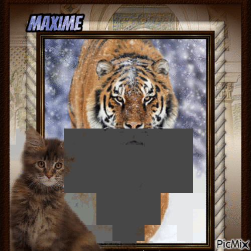 tigre d hivers1 - GIF animé gratuit