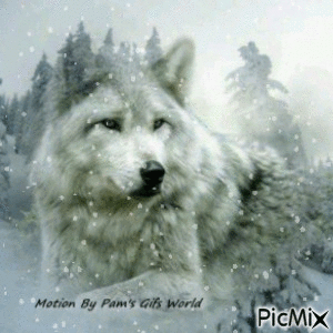 Snow Wolf - Безплатен анимиран GIF