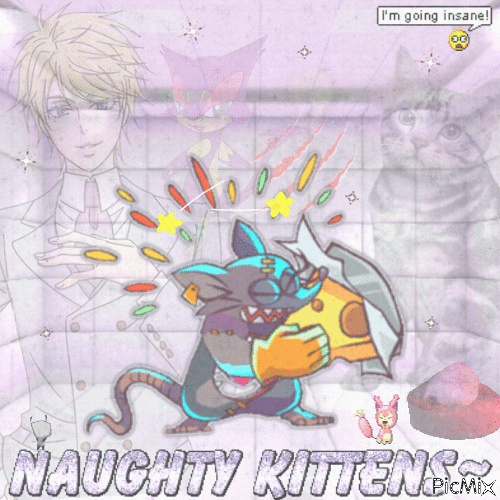 naughty kitten - GIF animé gratuit