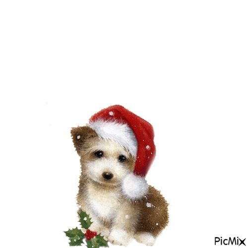cane natale - Free PNG