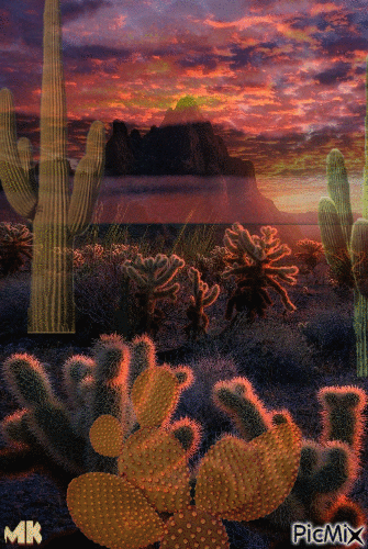 Tierra de cactus - Darmowy animowany GIF