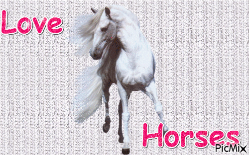 cheval=passion - GIF animate gratis