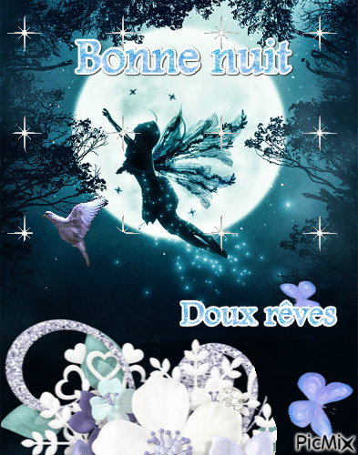 Bonne nuit - Бесплатный анимированный гифка