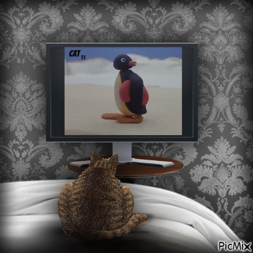 Cat TV - GIF animé gratuit