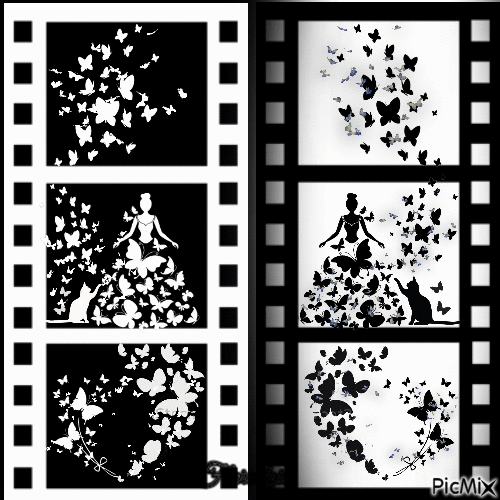 Noir et blanc - Gratis animeret GIF