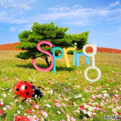 Spring.! - png gratis