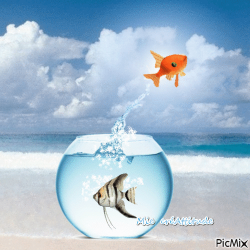 Comme un poisson dans l'eau - 無料のアニメーション GIF