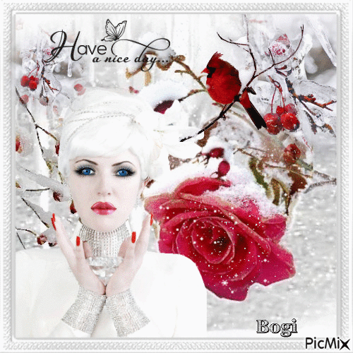 In snowy white... - GIF animé gratuit