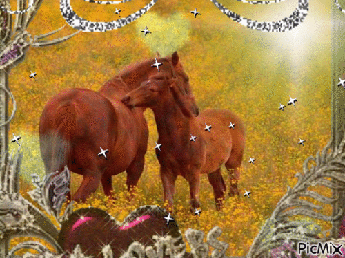 cavalo - Gratis animeret GIF