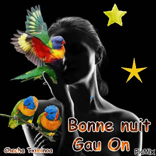 Bonne nuit Gau On - Бесплатный анимированный гифка