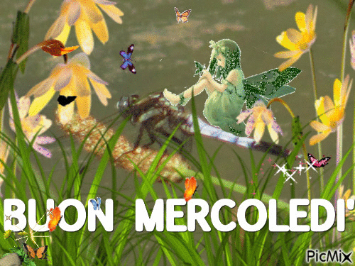 BUON MERCOLEDI' - Animovaný GIF zadarmo