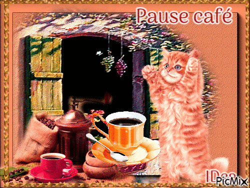 Pause café du chat - GIF animado gratis