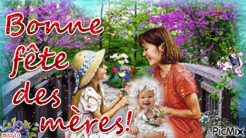 fête des mères - Бесплатный анимированный гифка