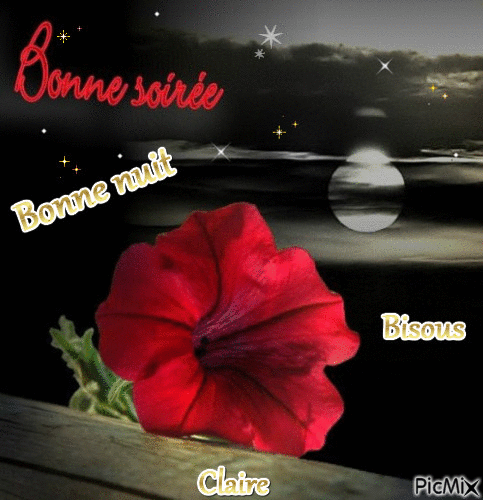 Bonne soirée b. nuit - Бесплатный анимированный гифка