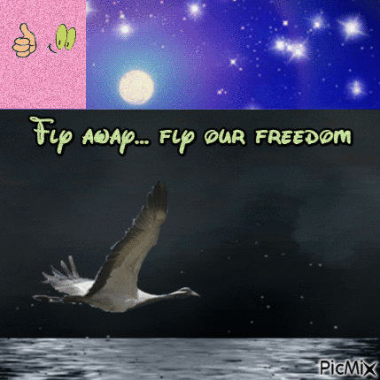 Fly away... fly our freedom - GIF animasi gratis