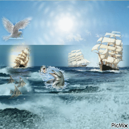 zee - Ingyenes animált GIF