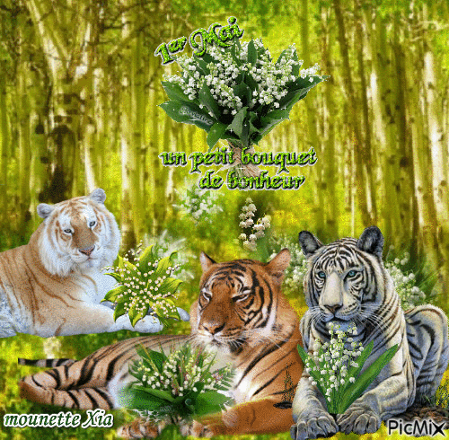 1er mai tigres - Zdarma animovaný GIF