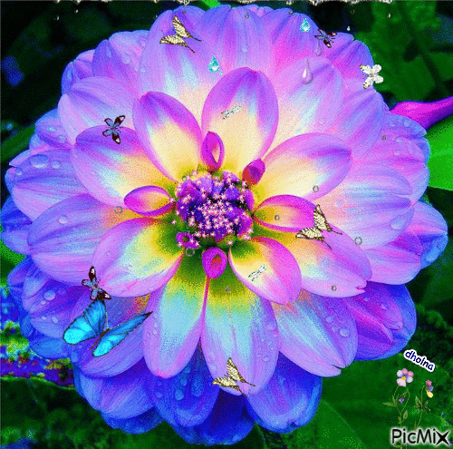Pretty Flower-butterfly - Free animated GIF - PicMix