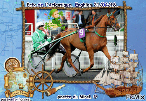 La championne Anette du Mirel. © - GIF animado grátis